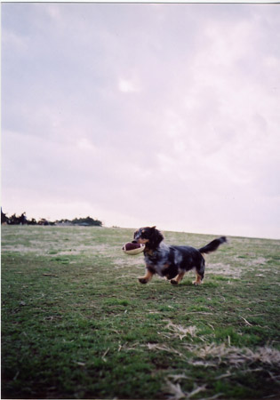 img0008