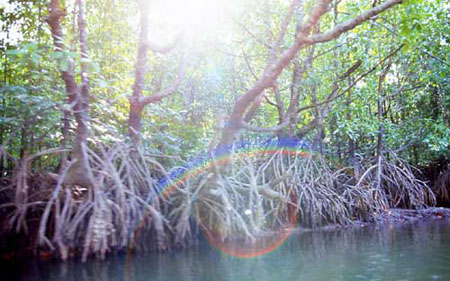 langkawi13