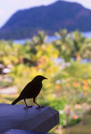 langkawi14