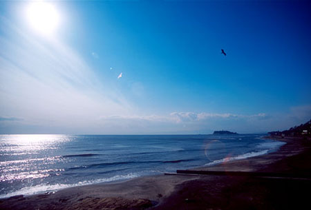 umi08