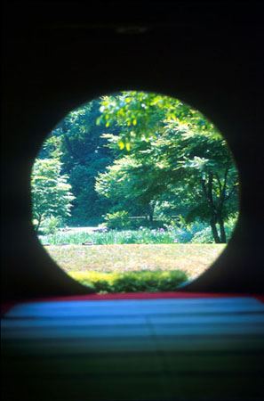 window4